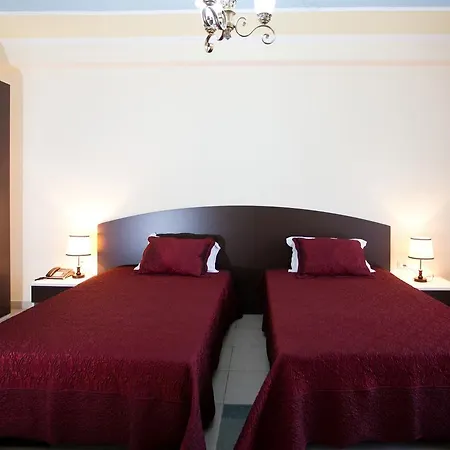 Orchidea ティラナ