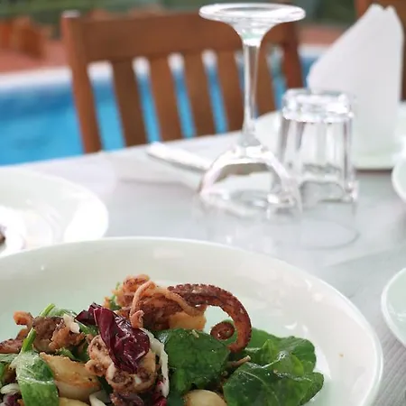 Orchidea ティラナ