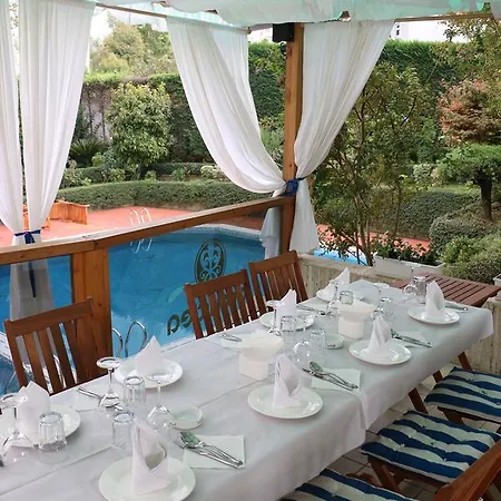 Orchidea Otel Tiran